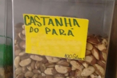 Castanha do Pará