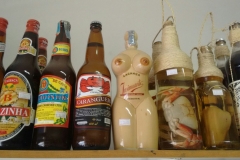 Aguardentes e cachaças